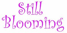 Still Blooming